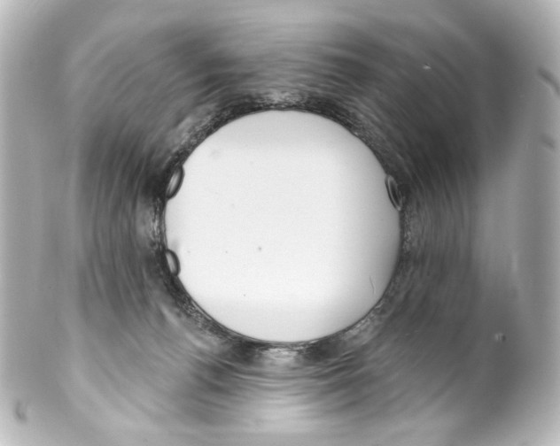 X0000100200176200806271649