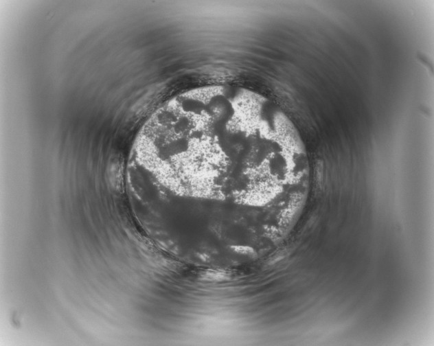 X0000100200177200806271649