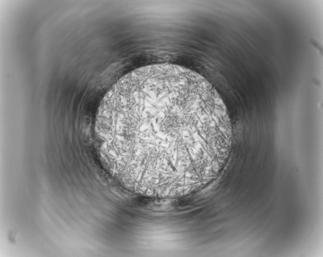 X0000100200178200806271649