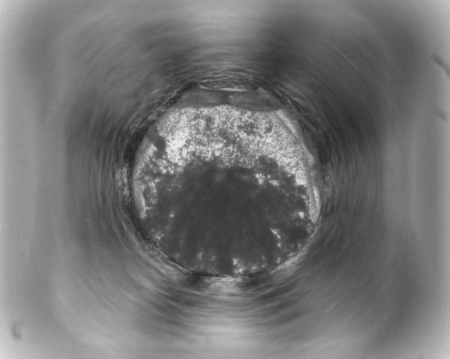 X0000100200182200806271650