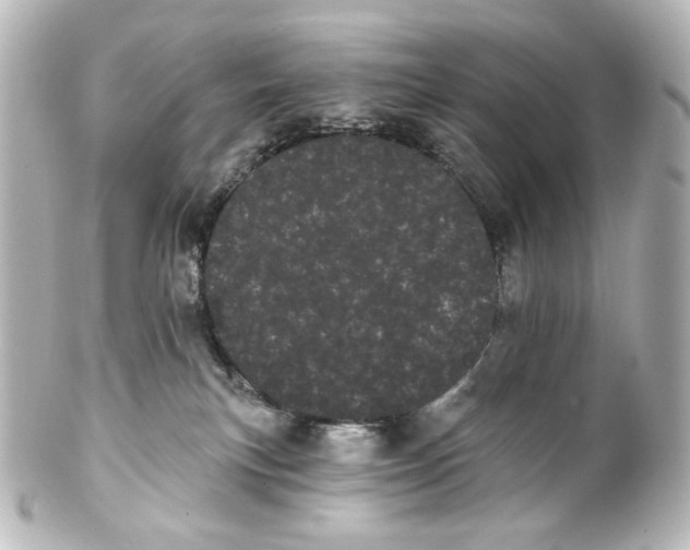 X0000100200183200806271650