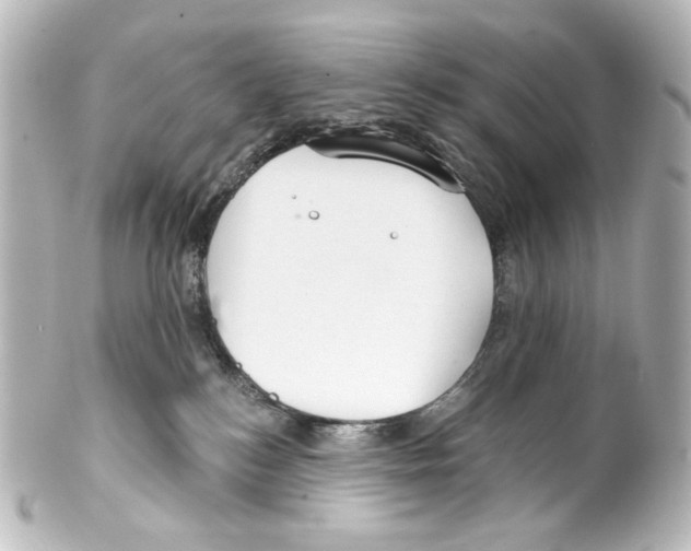 X0000100200184200806271650