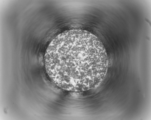 X0000100200187200806271650