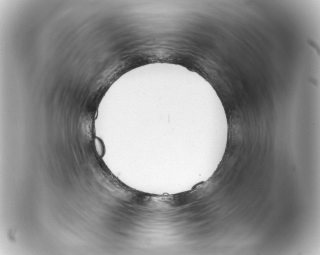 X0000100200188200806271650