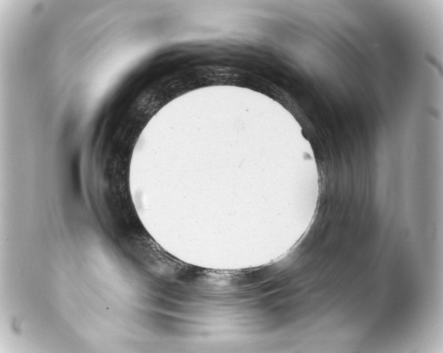 X0000100200190200806271650