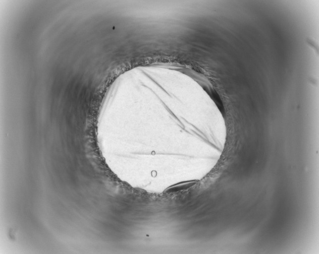 X0000100200192200806271650