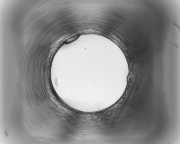 X0000100200193200806271649