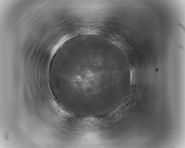 X0000100200195200806271649