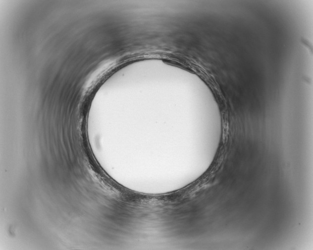 X0000100200197200806271649