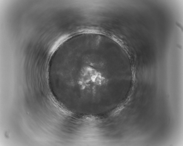 X0000100200199200806271649