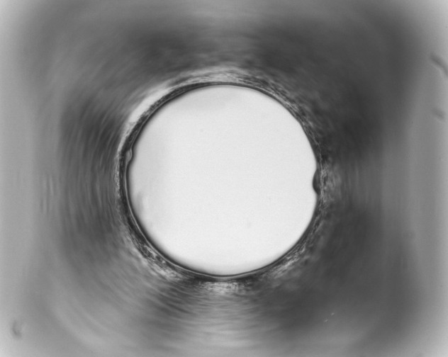 X0000100200200200806271649