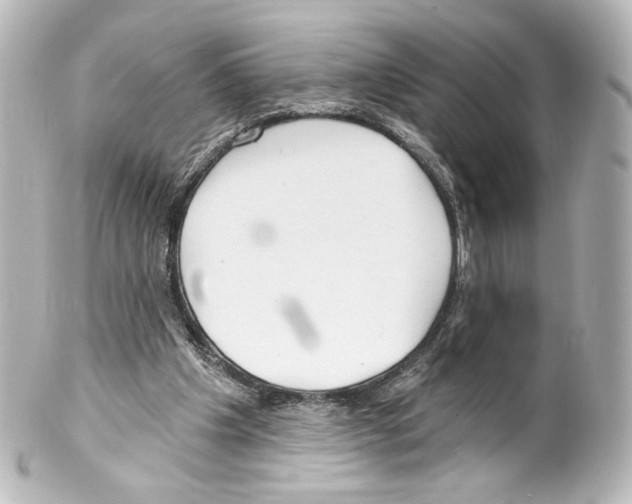 X0000100200201200806271649