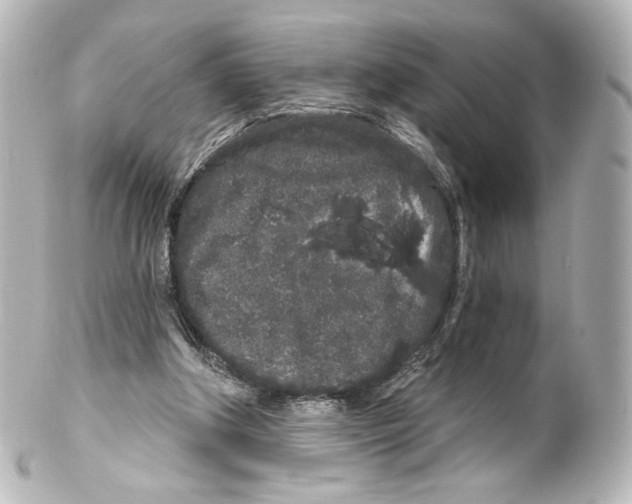 X0000100200202200806271649