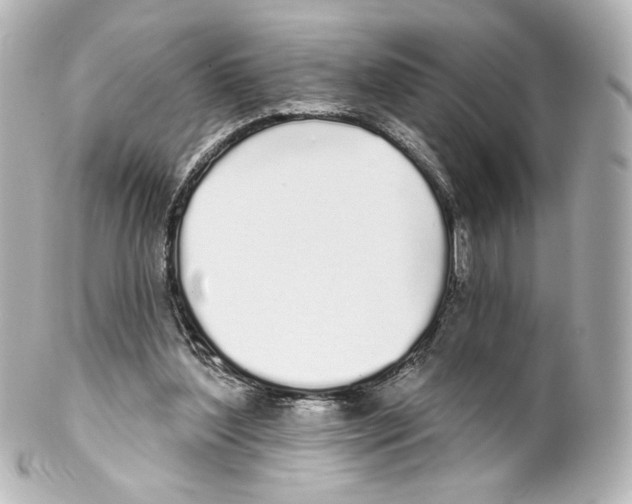 X0000100200204200806271649