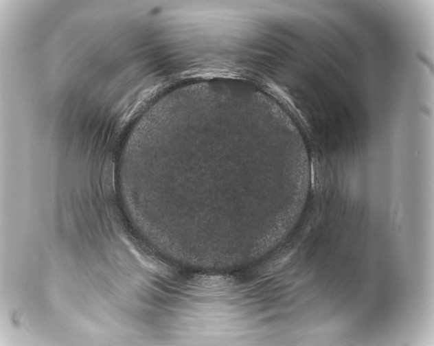 X0000100200205200806271649