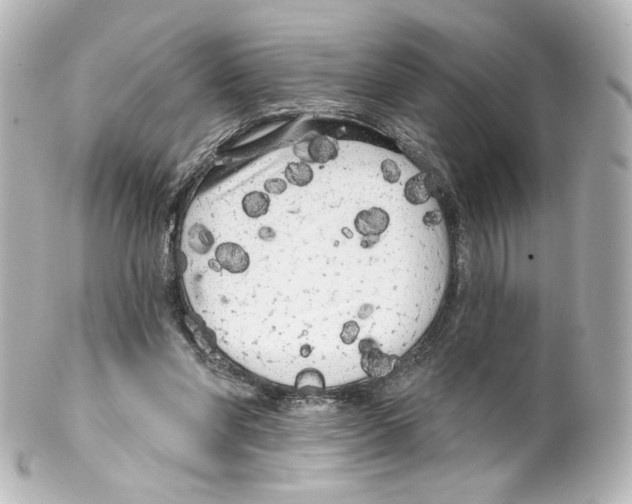 X0000100200206200806271649