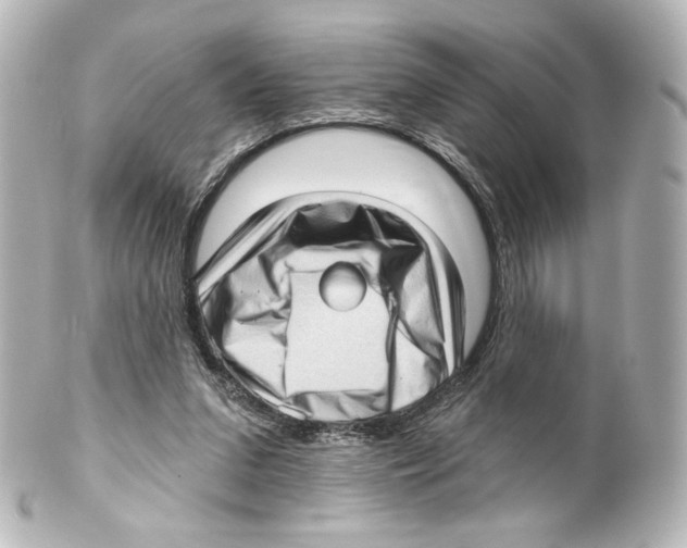 X0000100200207200806271649