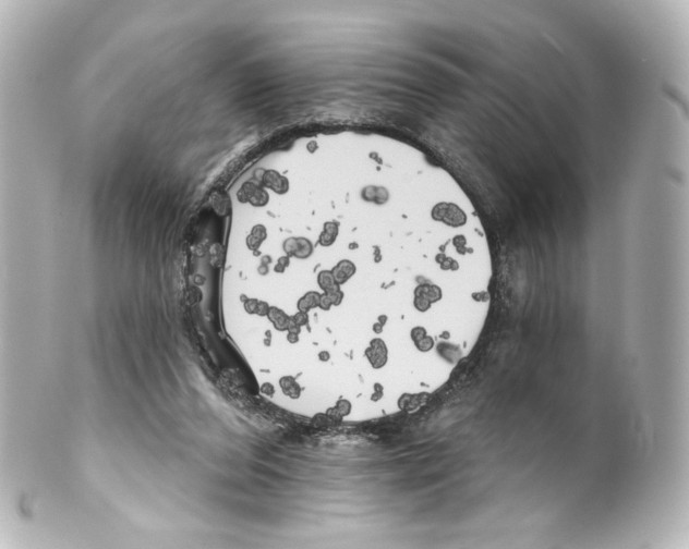 X0000100200208200806271649