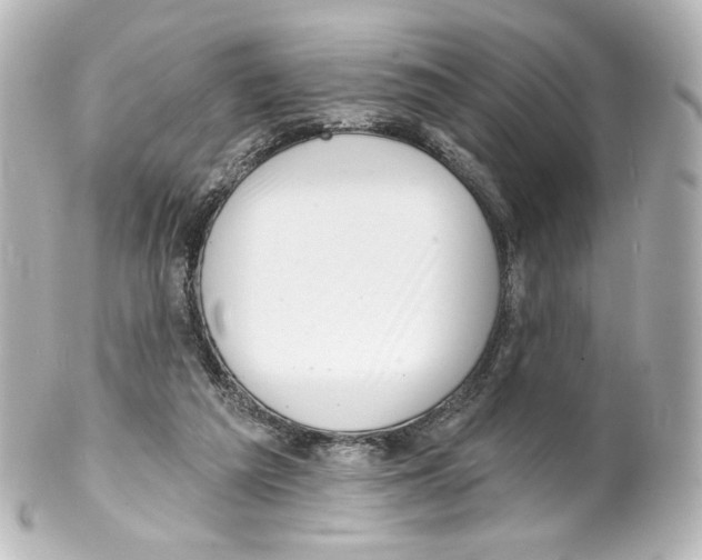 X0000100200209200806271649