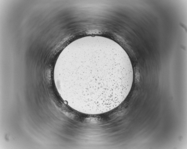 X0000100200211200806271649