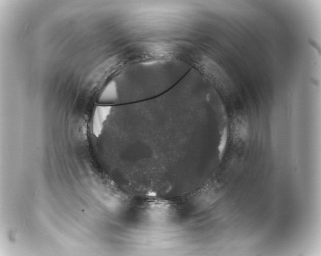 X0000100200214200806271649