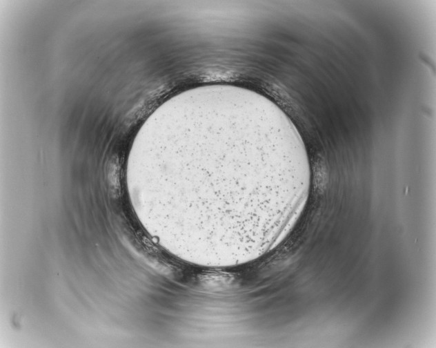 X0000100200215200806271649