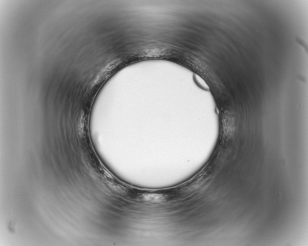 X0000100200216200806271649