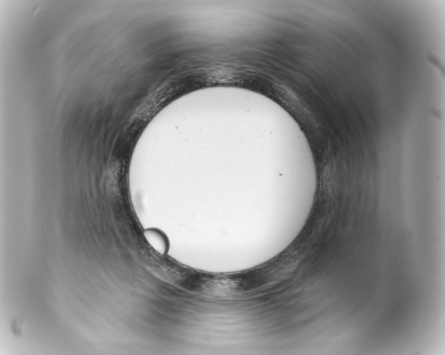 X0000100200217200806271649