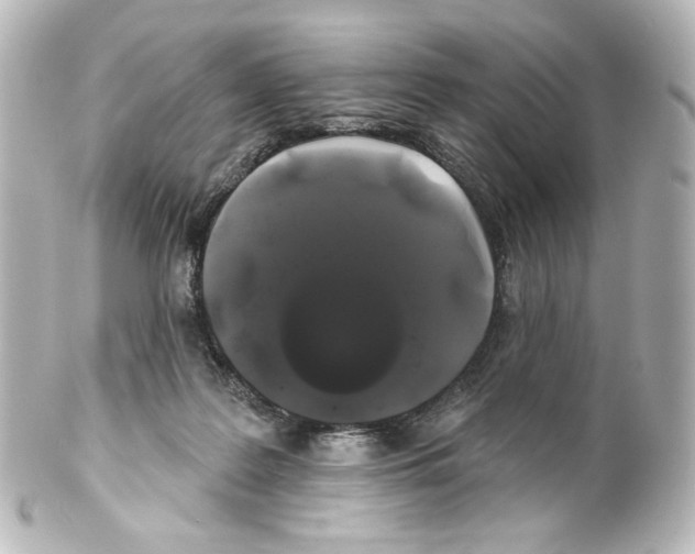 X0000100200219200806271649