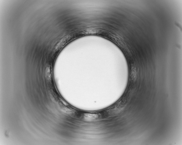 X0000100200220200806271649