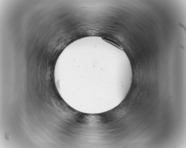 X0000100200221200806271649