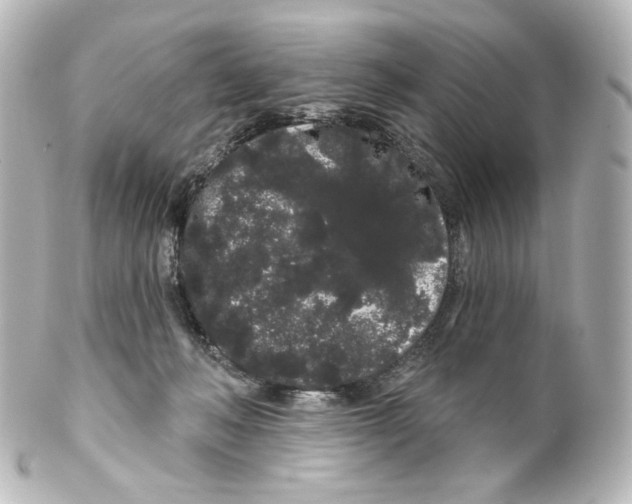 X0000100200222200806271649