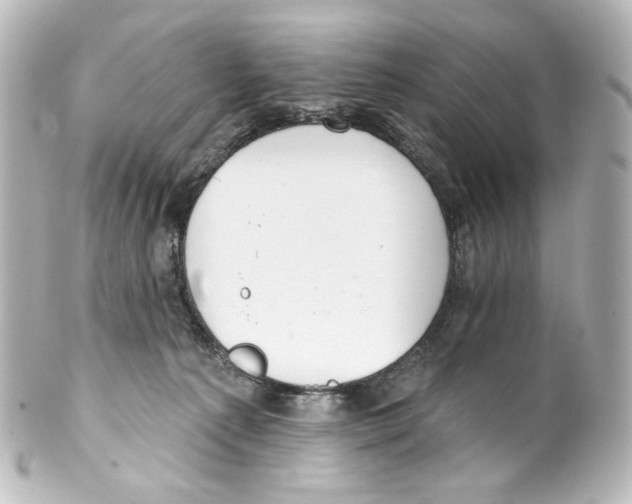 X0000100200225200806271649