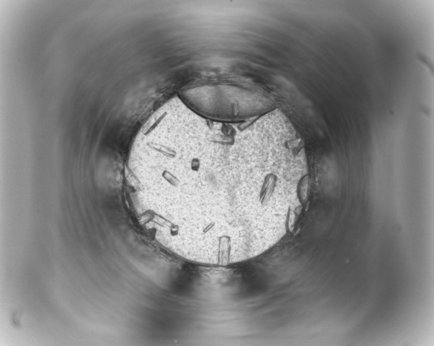 X0000100200226200806271649