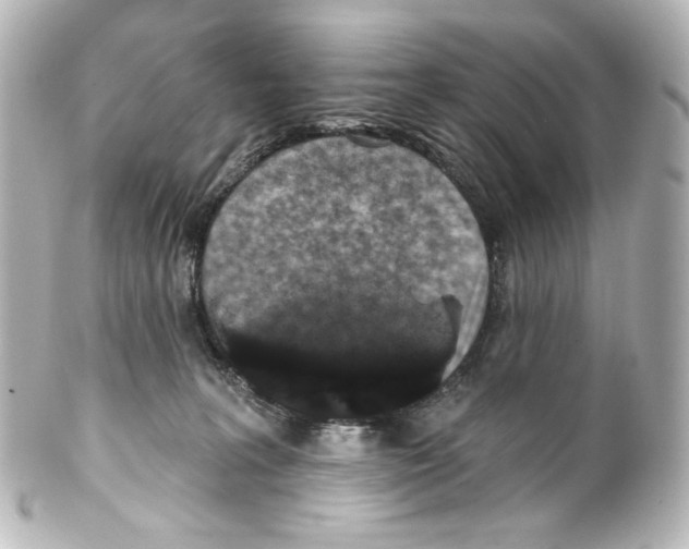 X0000100200227200806271648