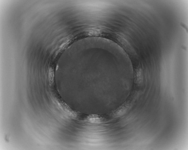 X0000100200228200806271648