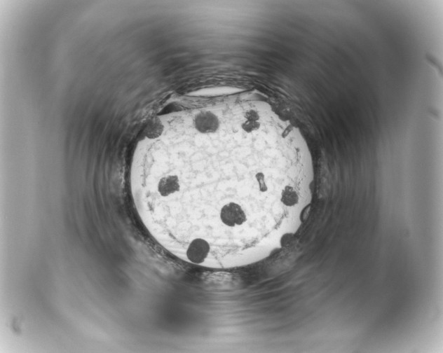 X0000100200230200806271648