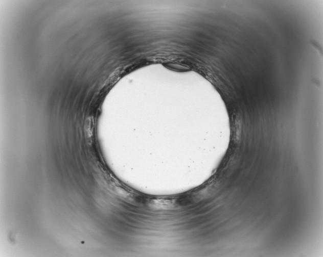 X0000100200232200806271648