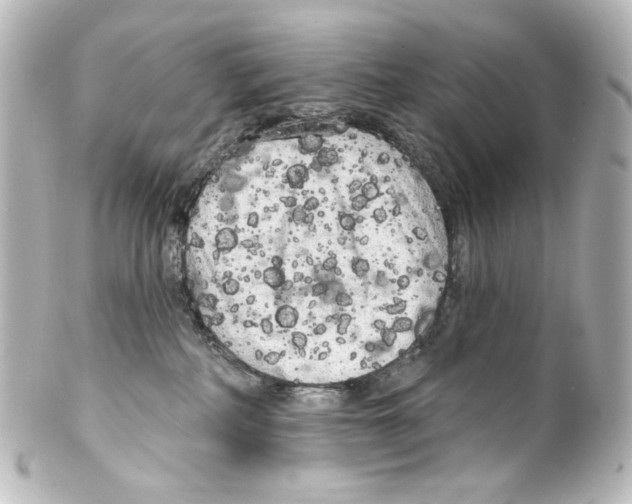 X0000100200234200806271648