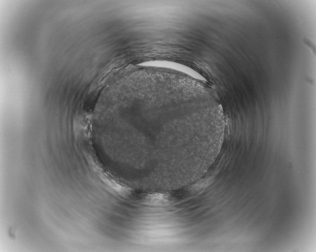 X0000100200237200806271648