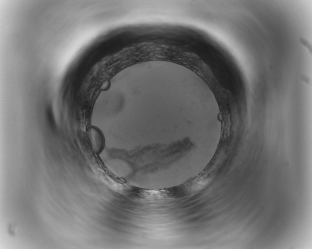 X0000100200239200806271648