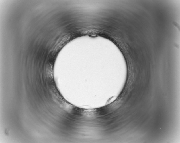 X0000100200240200806271648