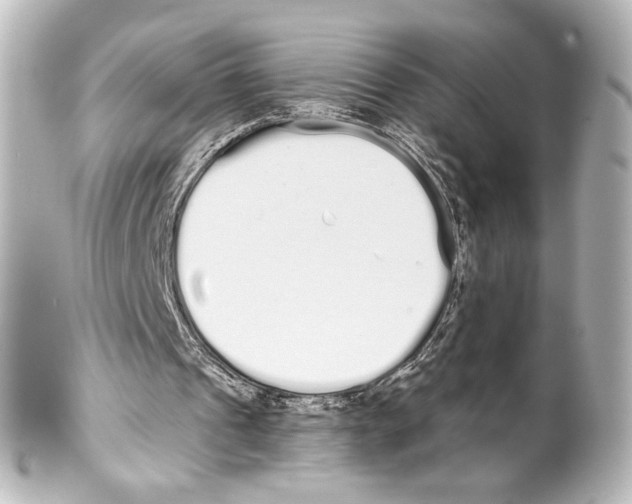 X0000100200241200806271648