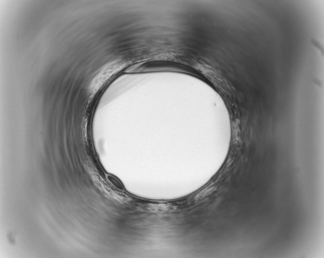 X0000100200242200806271648