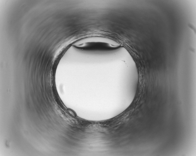 X0000100200244200806271648