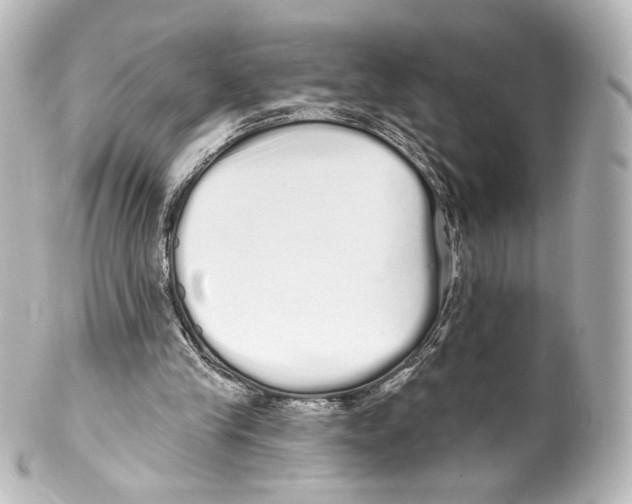 X0000100200245200806271648