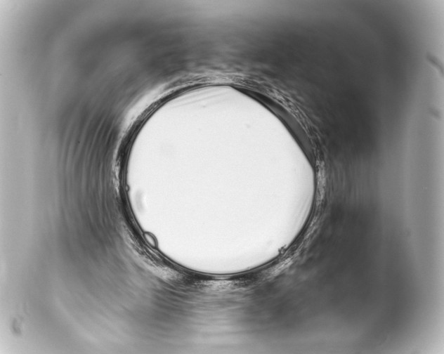 X0000100200246200806271648