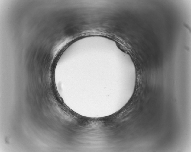 X0000100200248200806271648