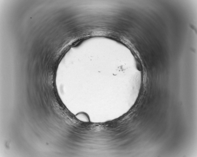 X0000100200249200806271648