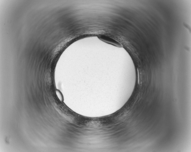 X0000100200252200806271648